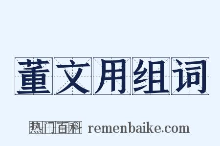 董文用组词是什么意思的图片